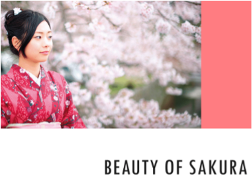 Beauty-of-sakura Beauty-of-sakura